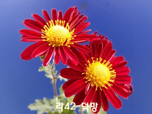 20181029_150227.jpg