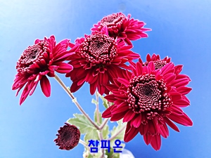 20181029_151425.jpg