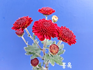 20181107_123553.jpg