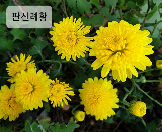 20191103_135901-ǽŷȲ.jpg