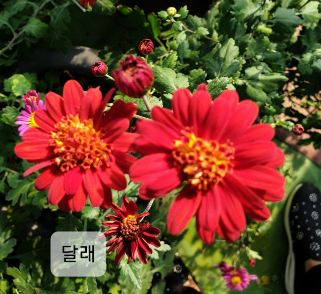 20191103_135011-޷.jpg