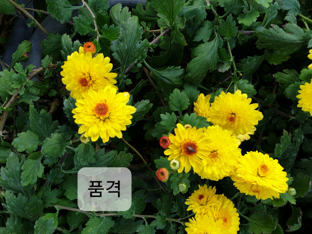 20191103_135359-ǰ.jpg