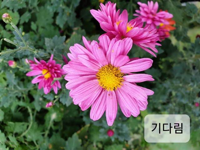 20191103_141321-ٸ.jpg