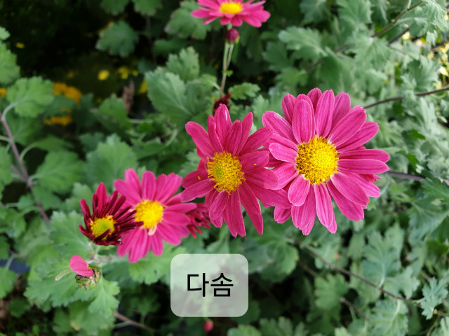 20191103_134519-ټ.jpg