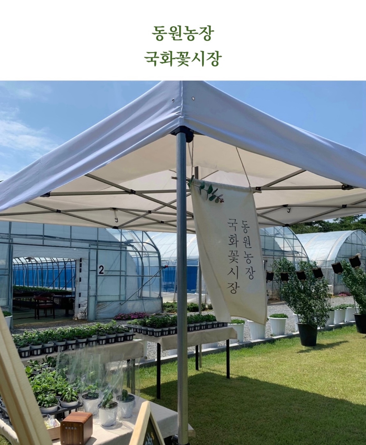 69a82b250639cbc8174b04e82128f124_KakaoTalk_20210927_141148850.jpg